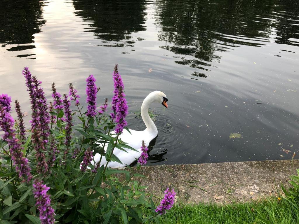 Cozy Double Bedroom In Stunning Bungalow On River Thames - Near Thorpe Park/Royal Holloway University/20Mins From Heathrow Staines-upon-Thames Zewnętrze zdjęcie