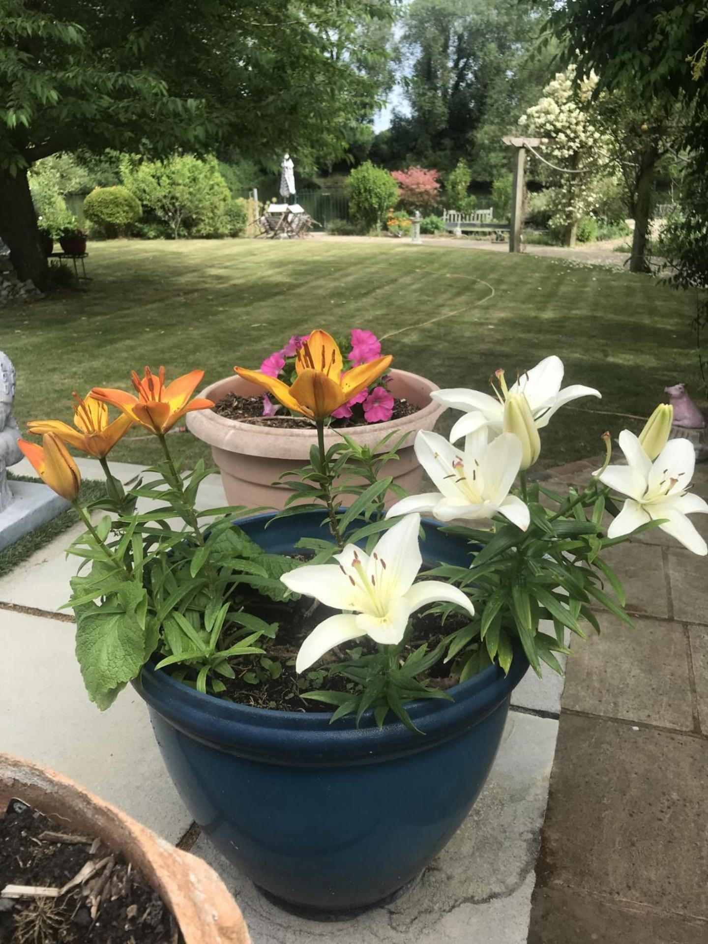 Cozy Double Bedroom In Stunning Bungalow On River Thames - Near Thorpe Park/Royal Holloway University/20Mins From Heathrow Staines-upon-Thames Zewnętrze zdjęcie